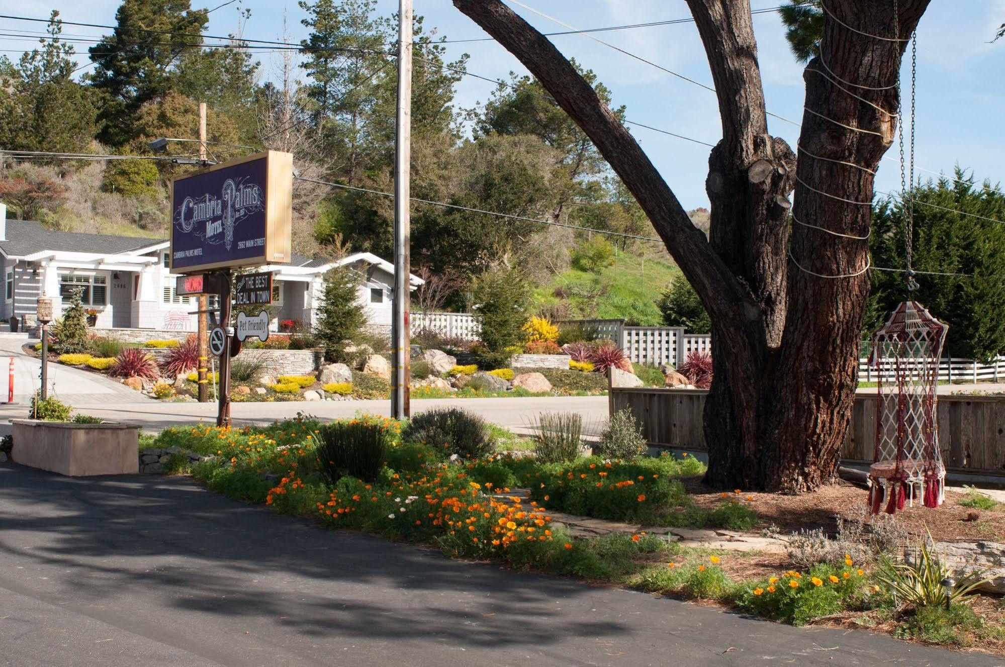 Cambria Palms Motel Buitenkant foto
